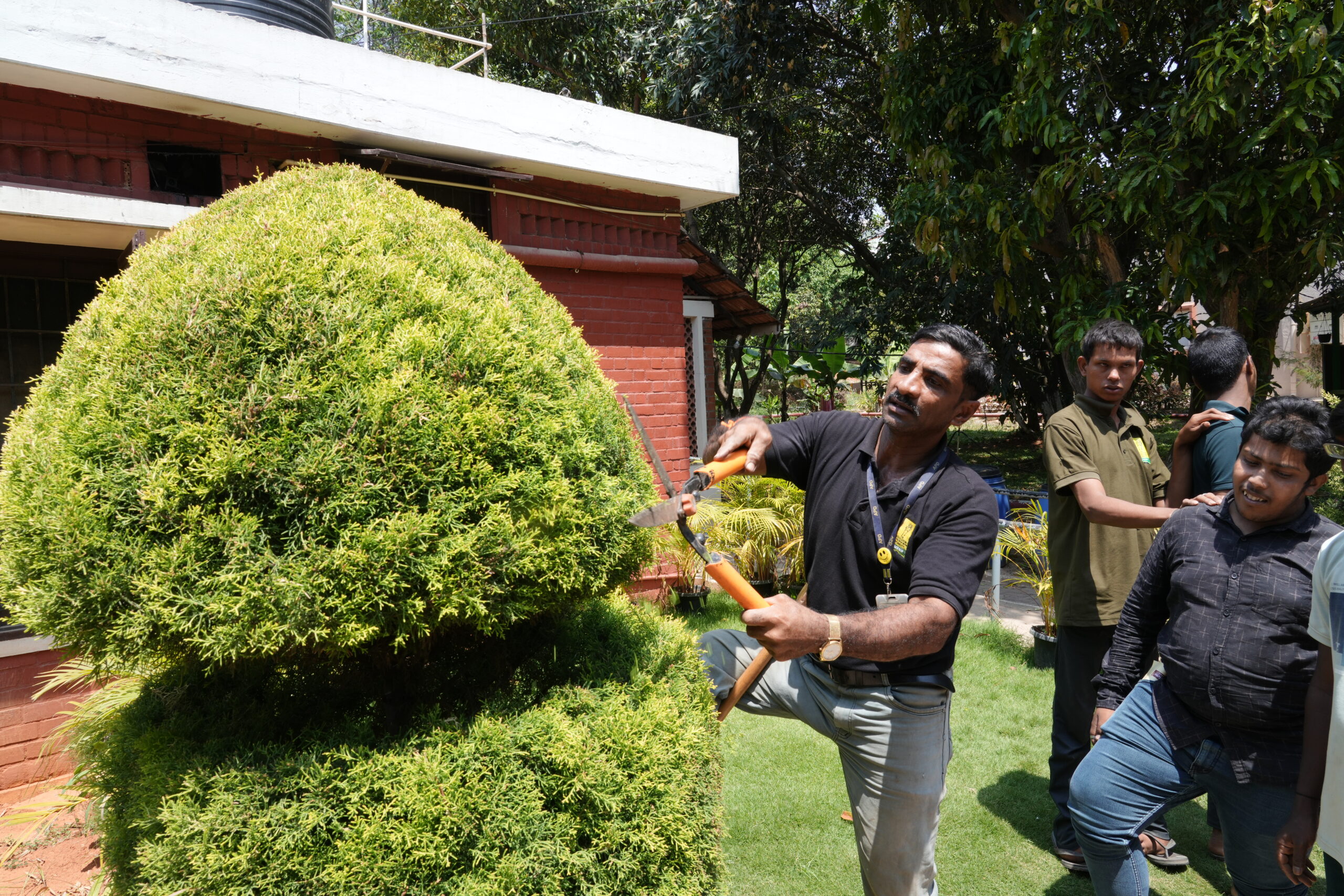 Career guidance and placement through APD